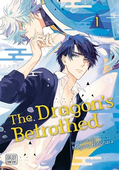 The Dragon's Betrothed, Vol. 1
